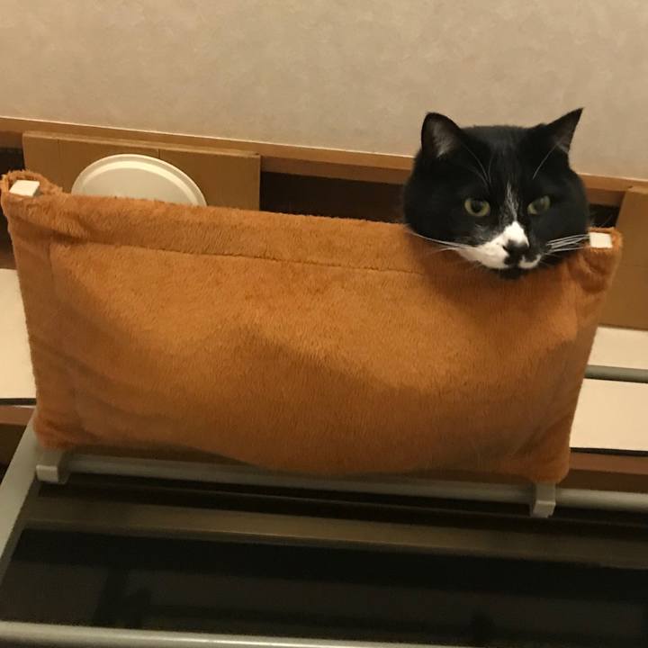 700f8806 d345 4e61 9fd4 e90db9861a7c 1581397979479