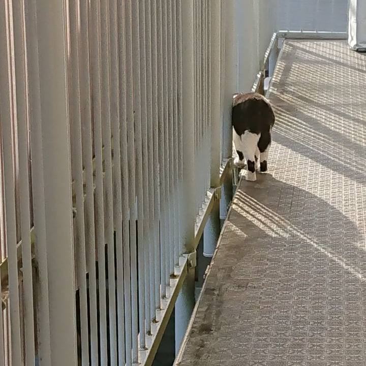 700f9967 3263 40c5 97a5 8bbc834fb7be 1660188594355