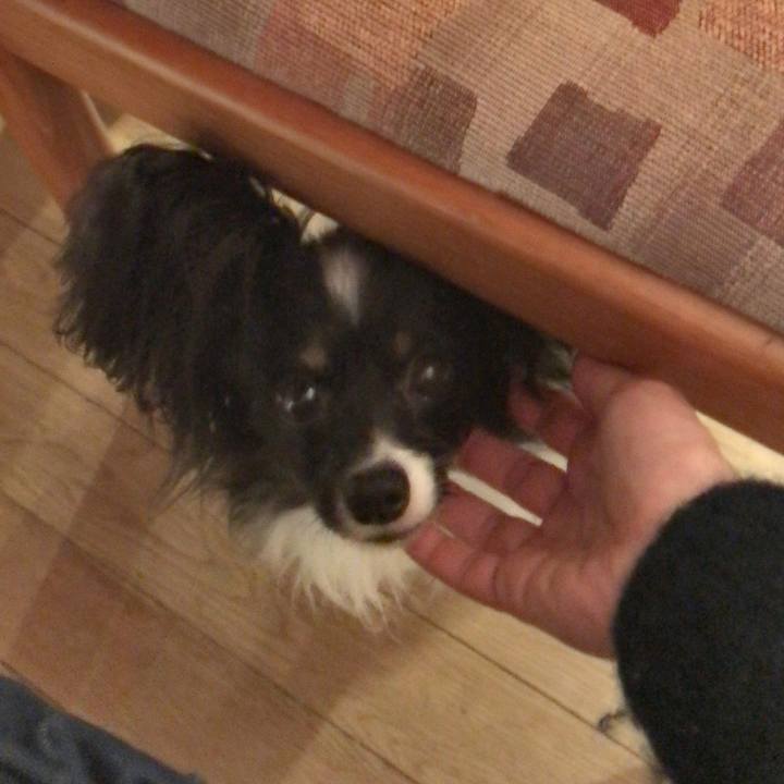 700fcc6d 4b1e 45de bf7d 92f99ef2a22d 1516801671727