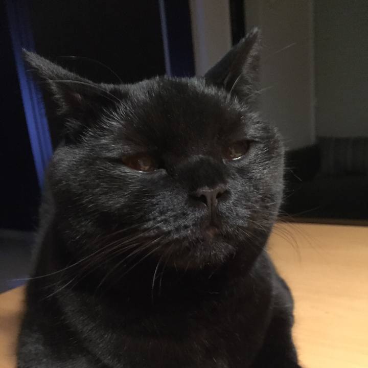 700fdcf6 a80c 4e0c 9c27 a1d598f343be 1511002595303