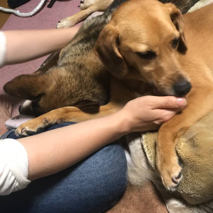 700fe71d f8dd 4d10 881f c75599618ebc 1528793448933