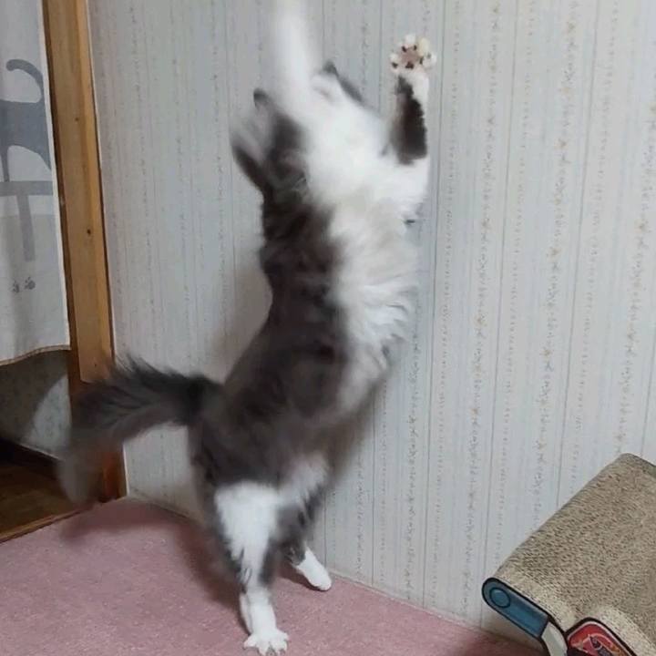 700ffba5 4cdc 4300 9fec 4de7f3c493e6 1644407358513