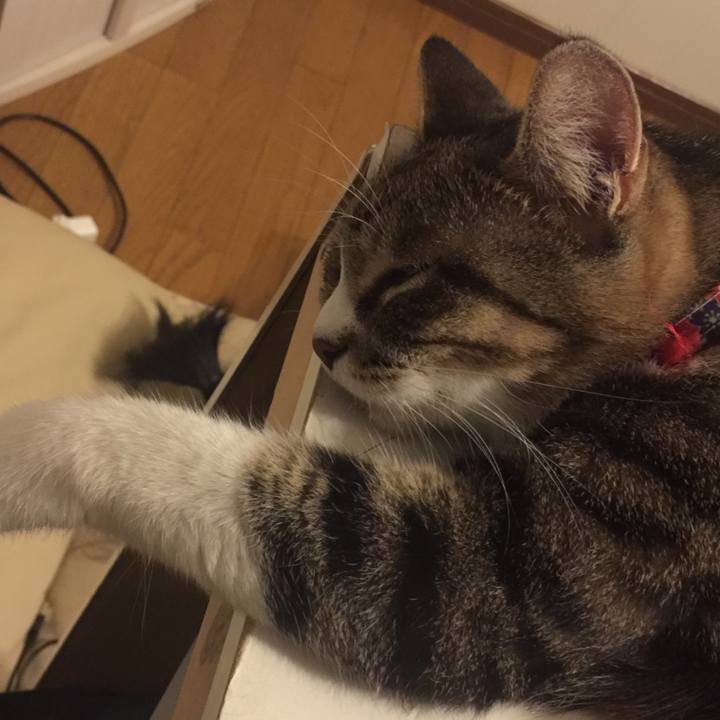 7010032e 6598 4b17 95f8 f28f262dd93c 1569682733940