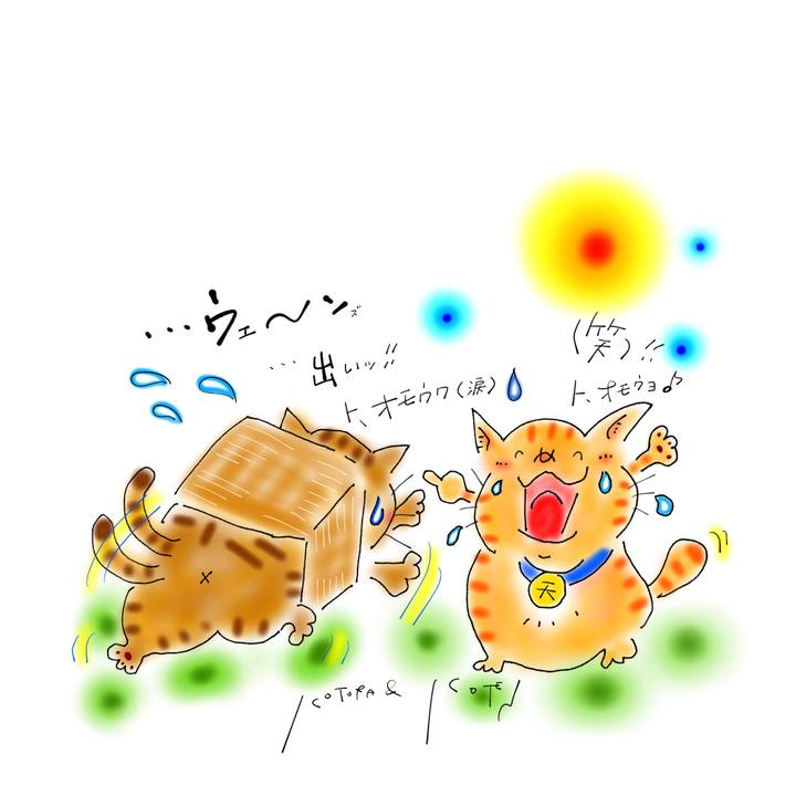 70105f34 c849 4d50 a306 b8ee6a84b591 1670972794496