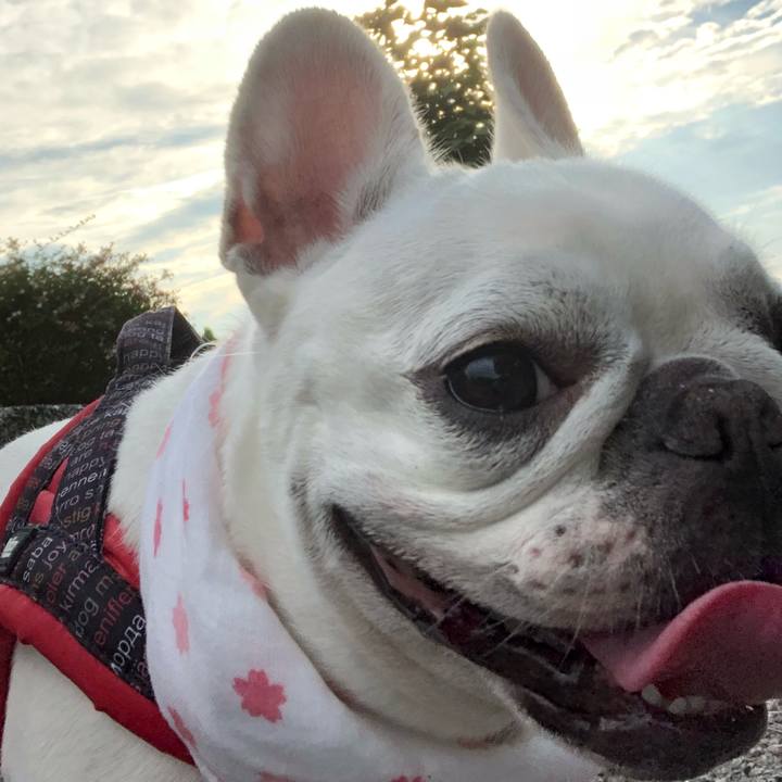 7010698e e6e7 4b14 a2ee acc44198ec39 1535762758425