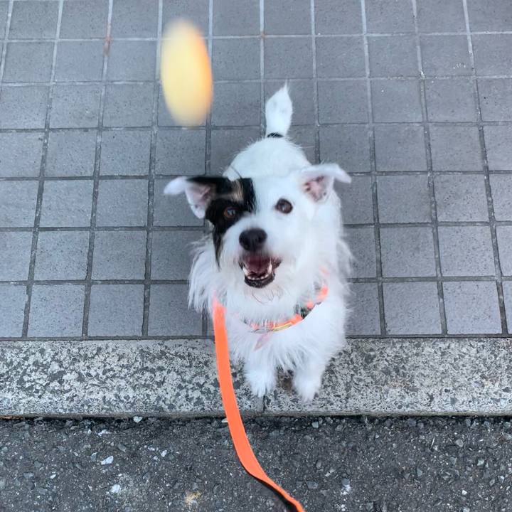 70109902 7c60 45ad 82a2 4d58c3bb6699 1662452507179