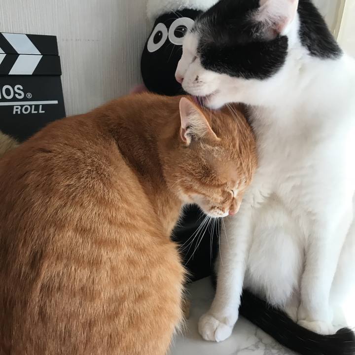 7010aeb0 d919 413e bb91 aec9eee97789 1518908943313