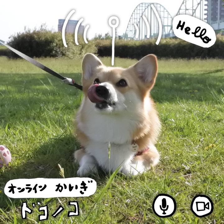 7010b8bb 979d 4e14 876b f44f66cac76b 1590749650936