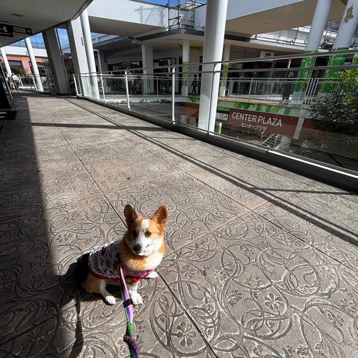 7010f411 13ac 45dd 9970 e8bc15d14646 1760757115778