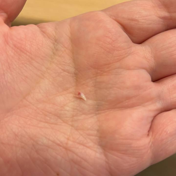 70112ae8 4974 4ee8 a0f5 6802b5bb18a1 1758634834850