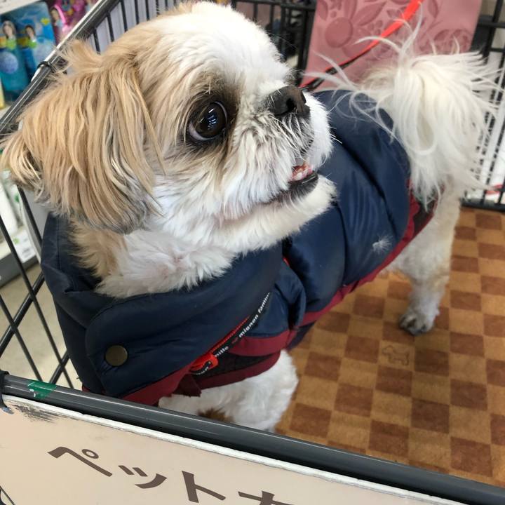 70115449 a499 4c06 86ee c85b73e28d1a 1701122839117