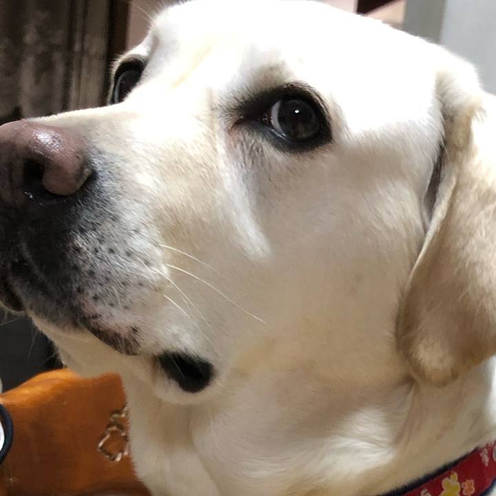 70117144 4cd1 4175 9863 b52469485358 1579251459548