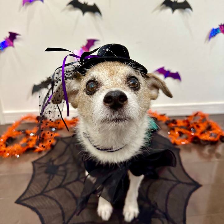 701175bd 045e 4c96 9e2c ac05cf645d3d 1698708613455