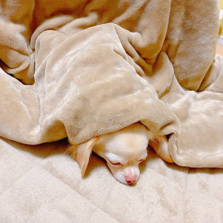 70119cc8 9b6e 48fc a7fb 1728b3fd616f 1634870644773