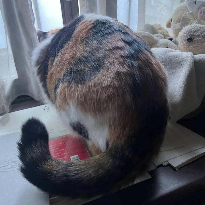 7011df60 3d90 41dc 90a6 ef1dd812ef11 1766888389946