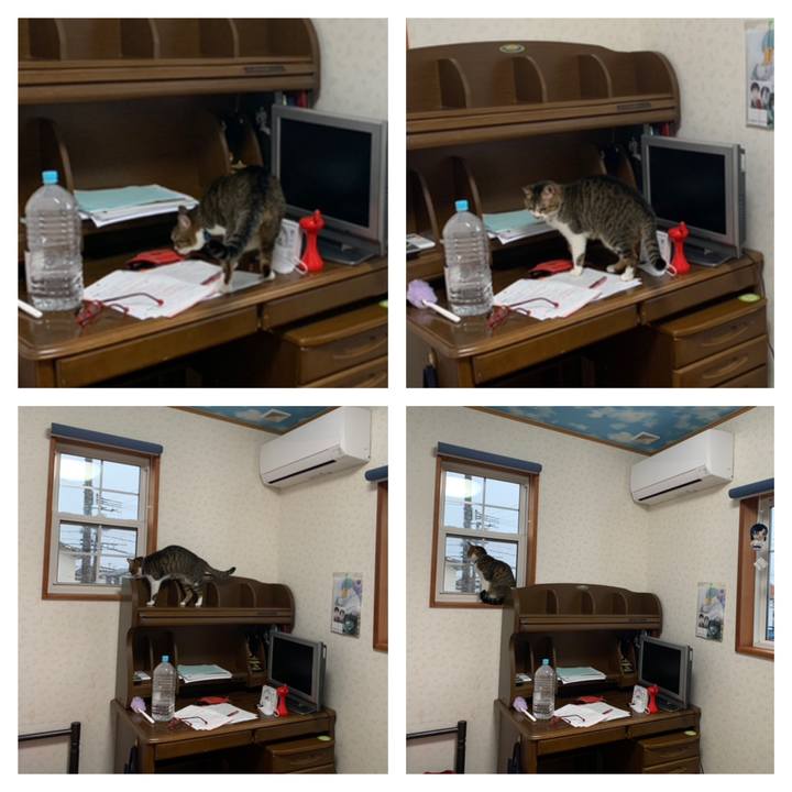 70121534 cd85 4b35 a856 df78cf00e482 1616996069395