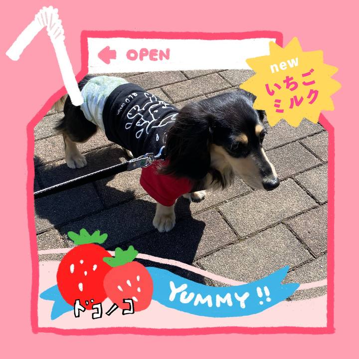 701239f8 e06a 49f3 895a 7daa03cbc031 1711002507865