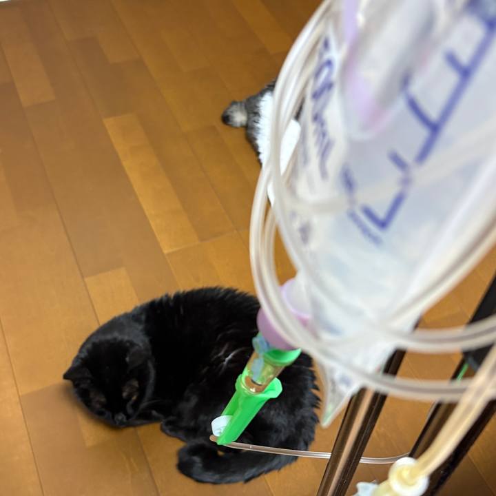 701257b2 37ff 42b6 8277 e9d135f9e831 1766518482476