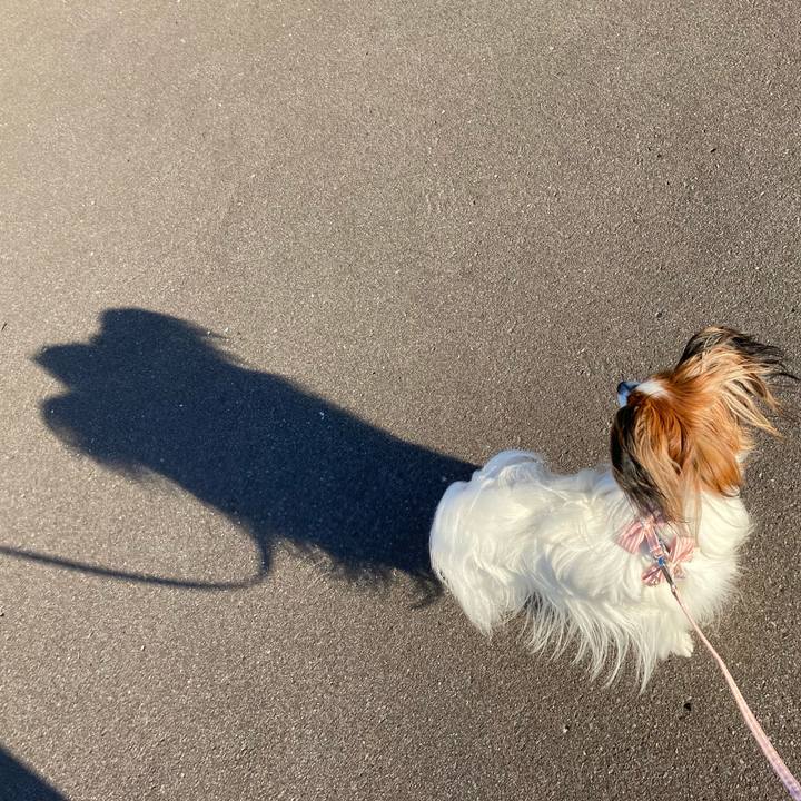 70126a70 d187 4ad3 ade7 5743302906da 1631694280843