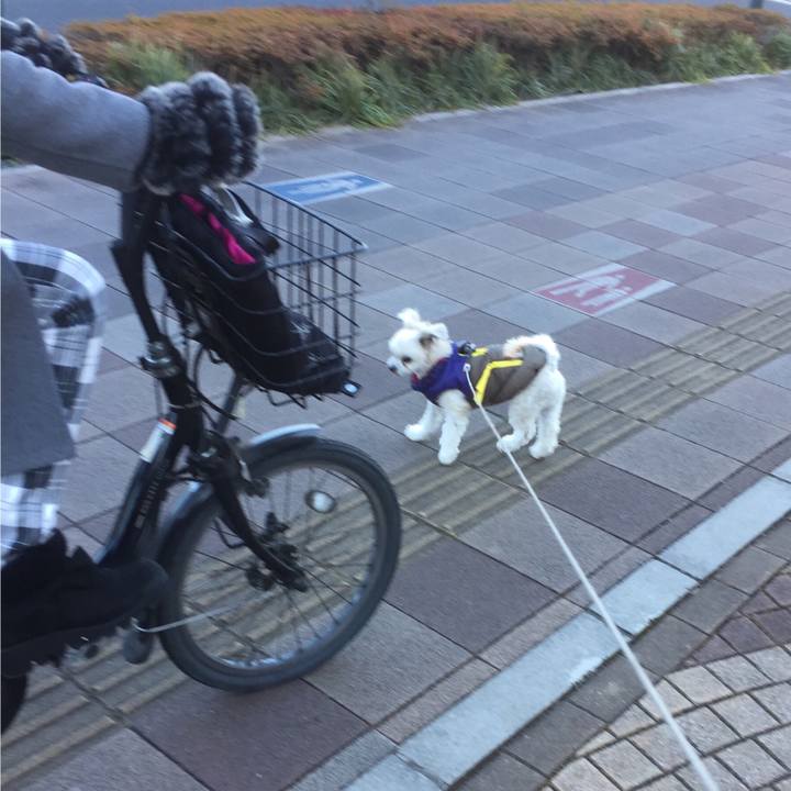 701285a9 7e3e 4c20 97b2 f043cf378943 1515238349225