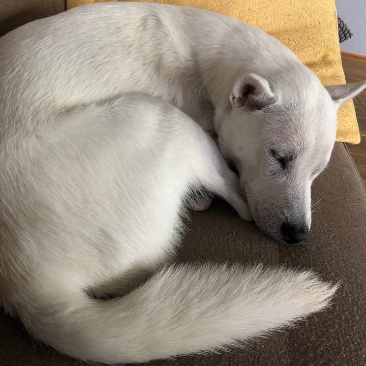 701298af 39fc 41e2 8616 565762b65f4f 1540285280135