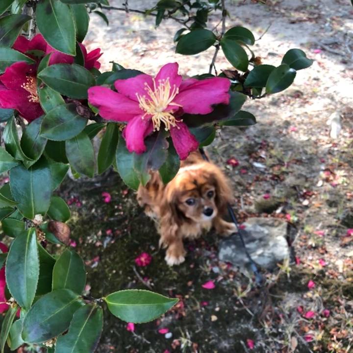 7012a0cf 19a5 48f0 935f 82b6c20db2bb 1647130808063