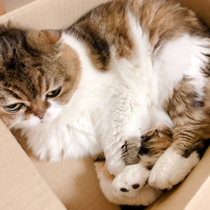 7012a379 dde0 4621 9284 0ed4d493bf67 1565869480610