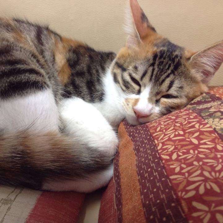 7012a6eb 0b1c 4a92 993b c266e94d1cd5 1633492175363