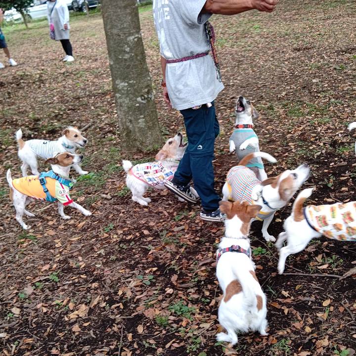 7012b396 fadf 489f 8c85 6802f75aed02 1633849245959