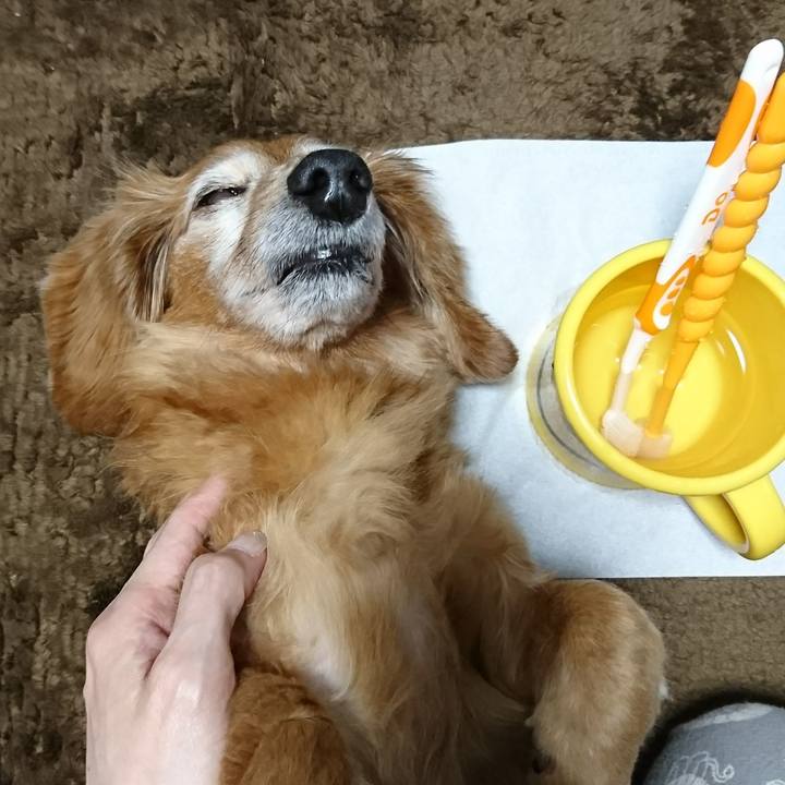 7012c86c a7f2 4b17 91b5 f9af68cfe938 1515953829253