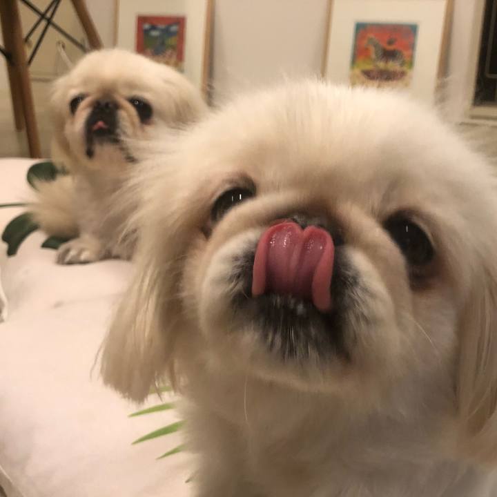 7012e120 5116 4ca7 ad5b df93d4286d4c 1541508516722