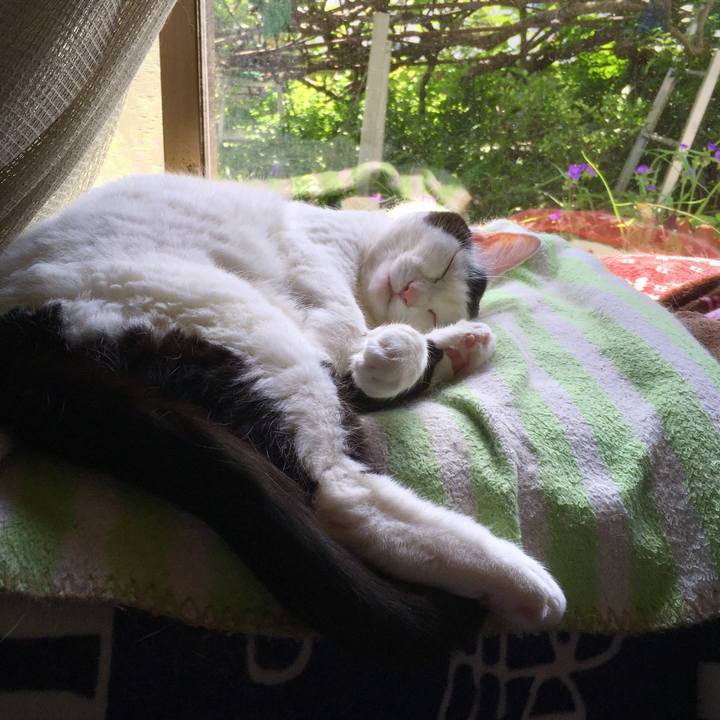 70130041 ea55 4b27 8690 5246416227b4 1622762536381