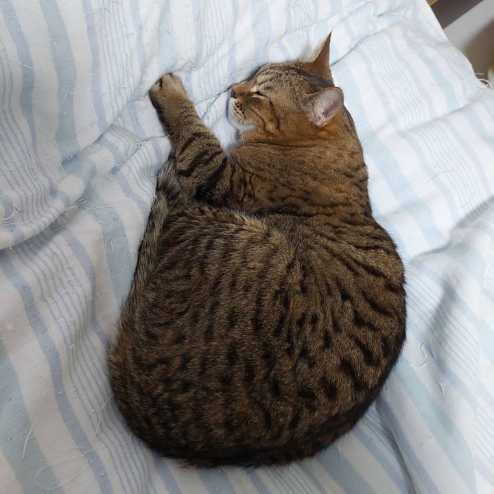 70134eb0 a3cf 427c 885f d4cd71426a52 1644058828205