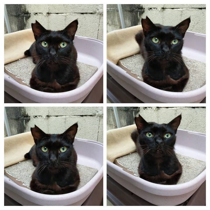 70135212 afdb 4918 8cb7 3a08c3955b17 1587036691308