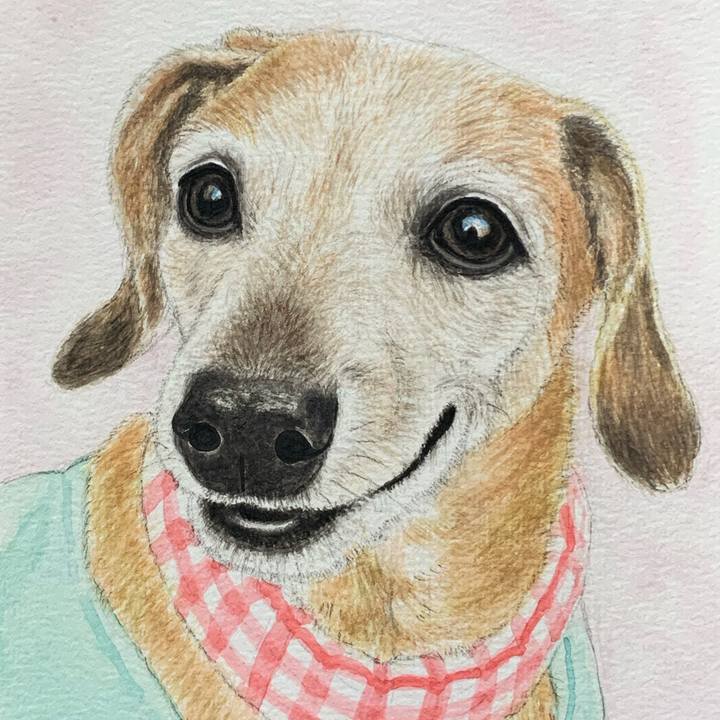 701379cc cf3d 4ebf 95cf 5ec88a56ed2c 1693300960732