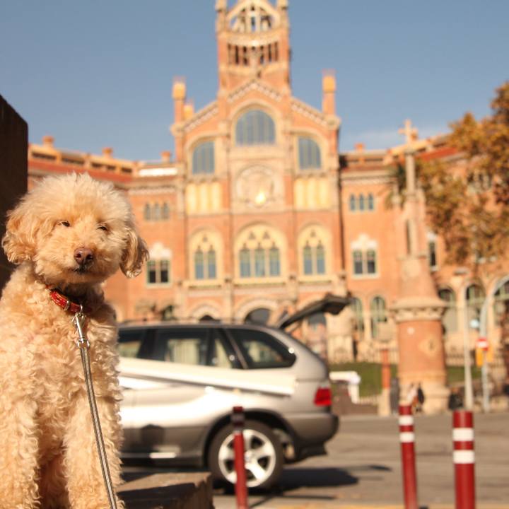 70138168 ac09 4b6f a5ae e908ef404a77 1512050450233