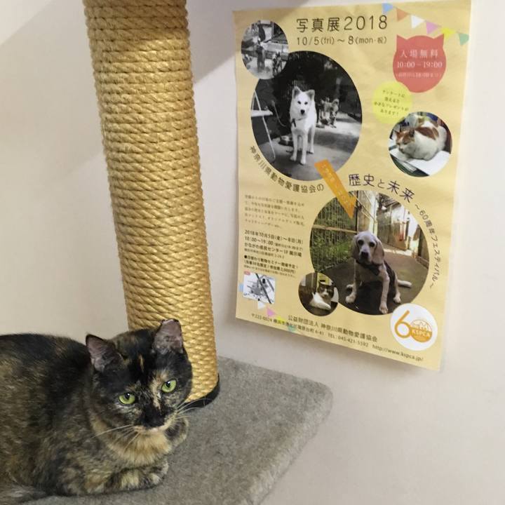 7013caf3 eac6 4abc ae0b 7fd7c1c592e7 1537174293683