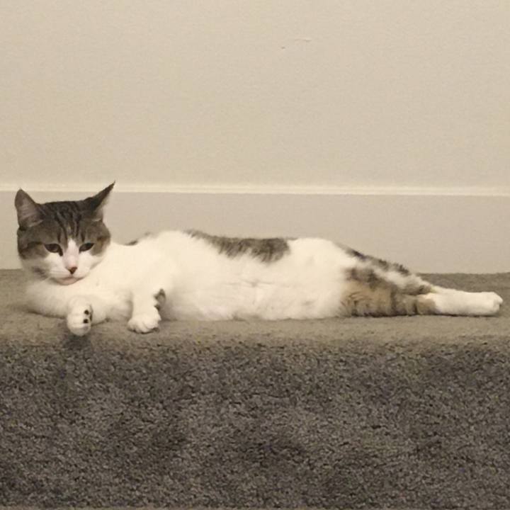 7013eee3 9388 404e b5f4 6716075fa22b 1664929158438