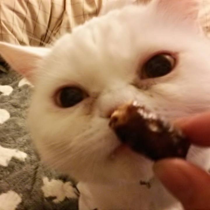 701423ac 1ea4 481c a4c3 2407f60407df 1522145141484