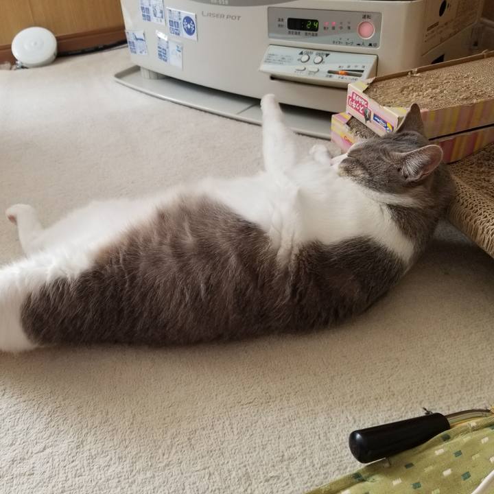 70142d79 4502 49b2 b163 971db872dfff 1647999342002