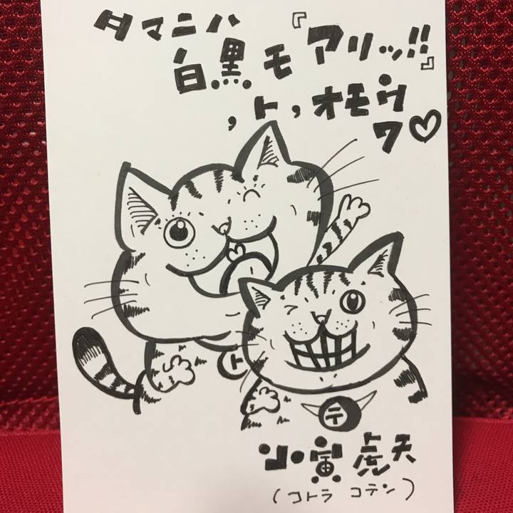 70143adc 386f 4478 a1ac 2a620470adba 1541424453526