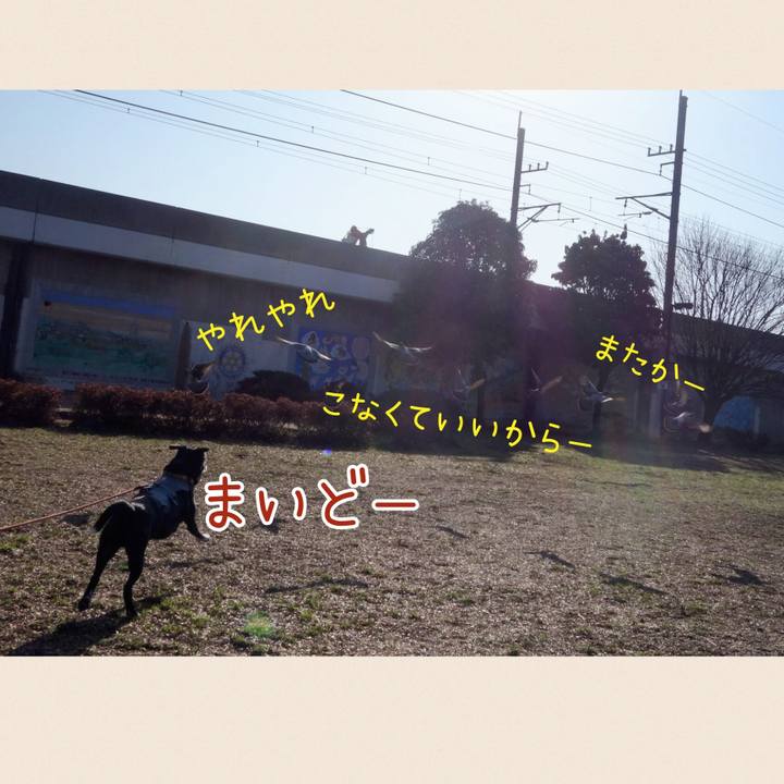 7014627b d259 46bf 8925 d822f67f2a14 1709513678408