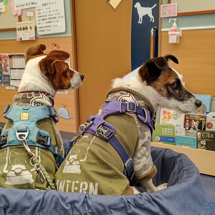 7014727b 8574 45da 83db d47dfbaeb944 1636857755351