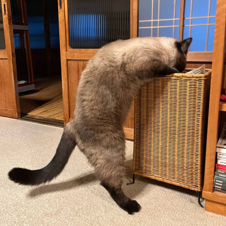 7014882b 44ee 419e b82b 029a90540afd 1696667465329