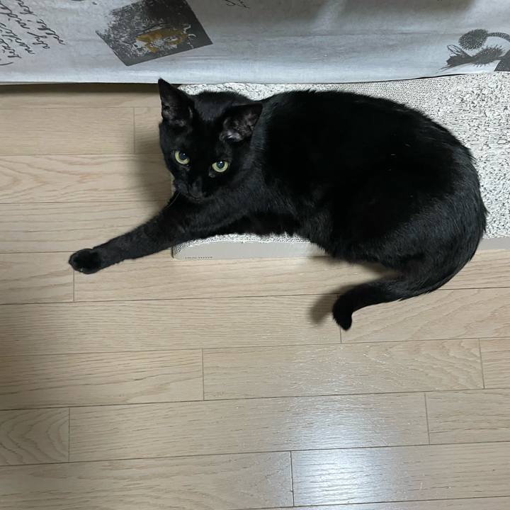 7014b2b6 c8dd 4845 91bf ebc341af799b 1747661269454