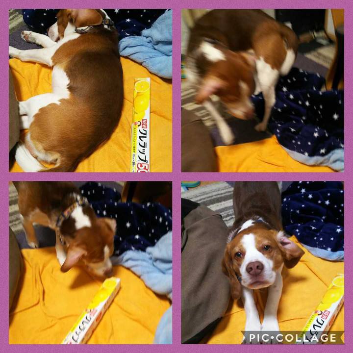 7014de38 4903 4cfc 9584 0eb4dddc2e1e 1585404865450