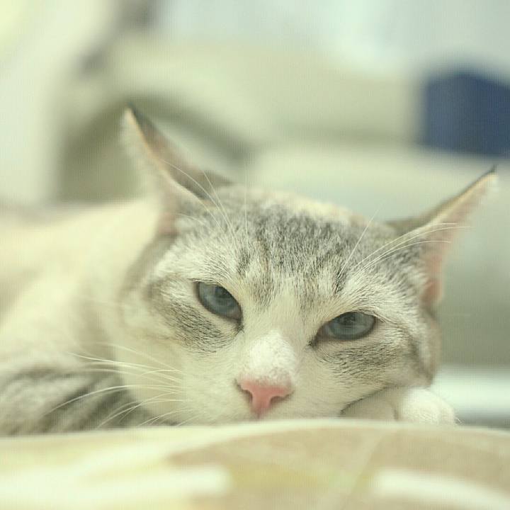 7015081b dfe4 44a7 aa69 c7f9218eabae 1531703808083