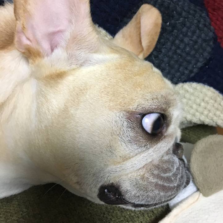 70151914 b80e 4a02 b8ed 833e61144ec0 1510405237439