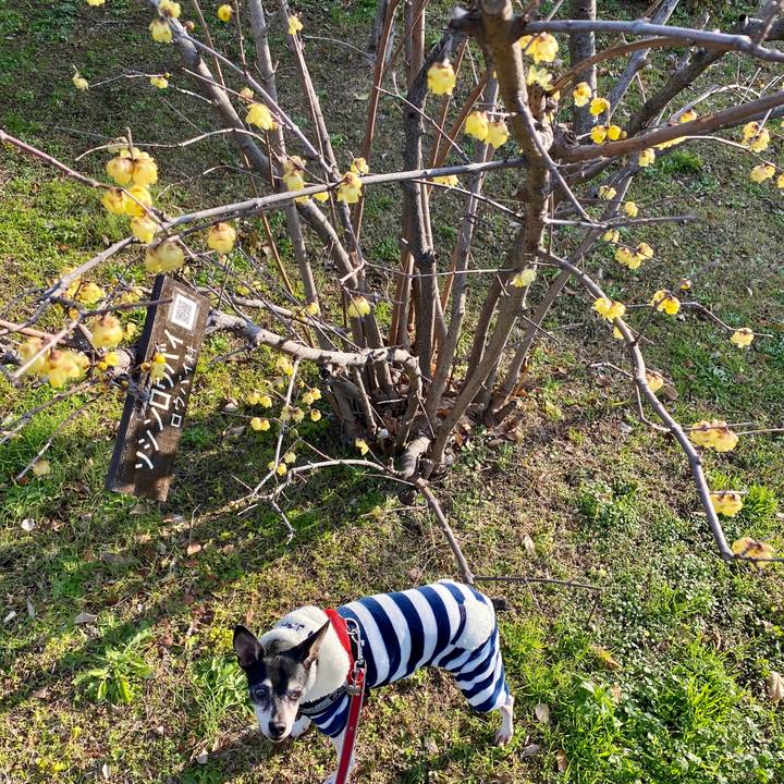 70152a89 051f 4686 9253 45d34941067f 1580602711131