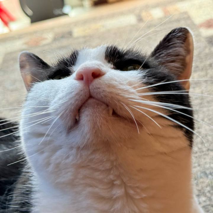 70153ec4 c72e 4ffc b51d f9f44d10ff44 1747104442137